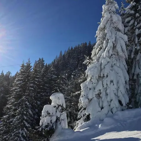 In Near Slopes, Cleaning Included * Mittersill